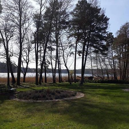 Penthouse Bernd Im Waldschloesschen Direkt Am See Wendisch Rietz Ngoại thất bức ảnh