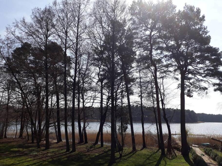 Penthouse Bernd Im Waldschloesschen Direkt Am See Wendisch Rietz Ngoại thất bức ảnh