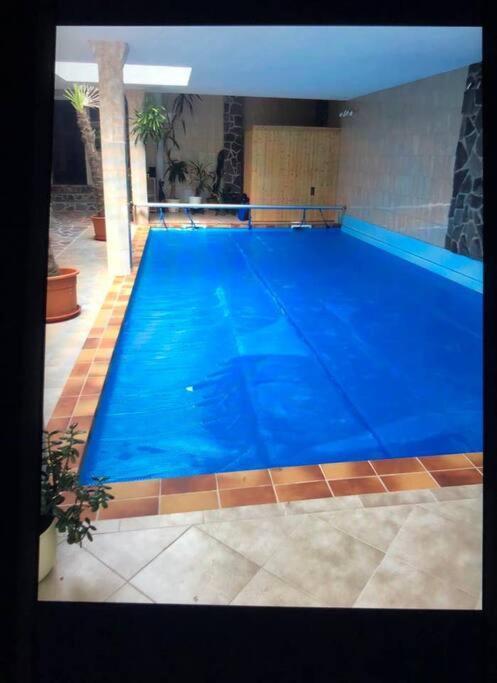 Penthouse Bernd Im Waldschloesschen Direkt Am See Wendisch Rietz Ngoại thất bức ảnh