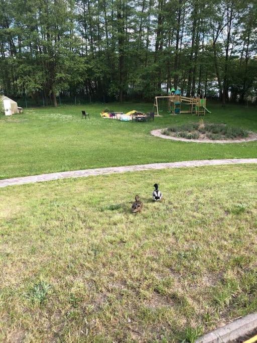 Penthouse Bernd Im Waldschloesschen Direkt Am See Wendisch Rietz Ngoại thất bức ảnh