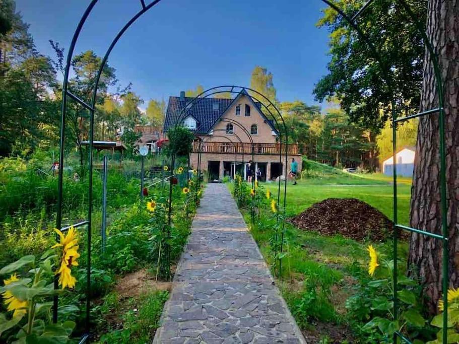 Penthouse Bernd Im Waldschloesschen Direkt Am See Wendisch Rietz Ngoại thất bức ảnh