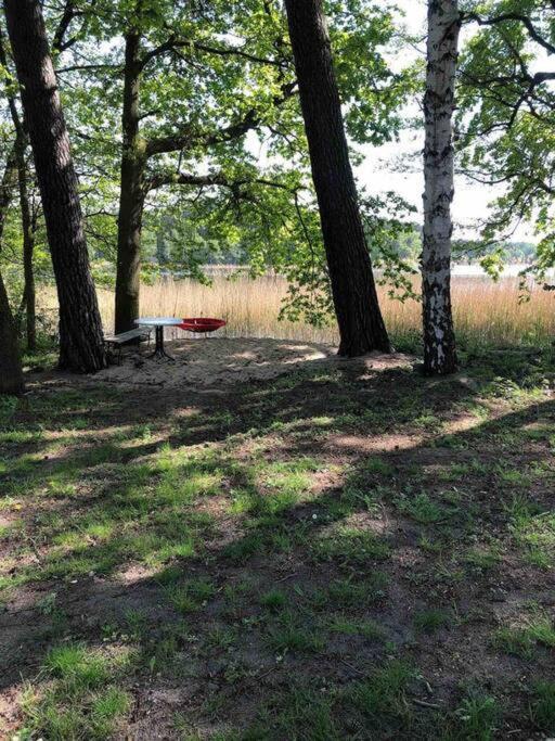Penthouse Bernd Im Waldschloesschen Direkt Am See Wendisch Rietz Ngoại thất bức ảnh